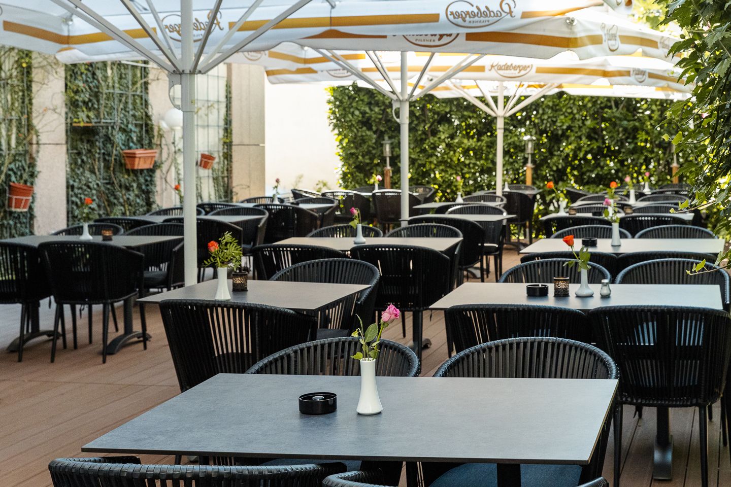 Jaggis Restaurant Frankfurt – Impression 9